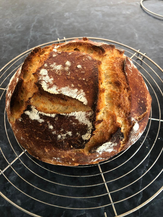 Bread
